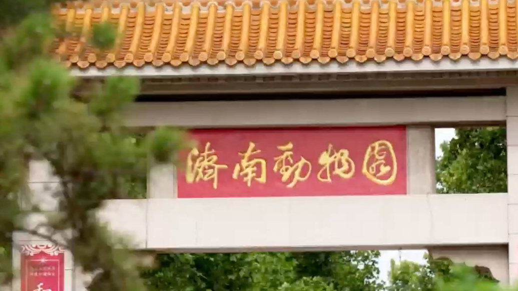 果然视频|动物视界（364）动物园爱吃肉肉的它们