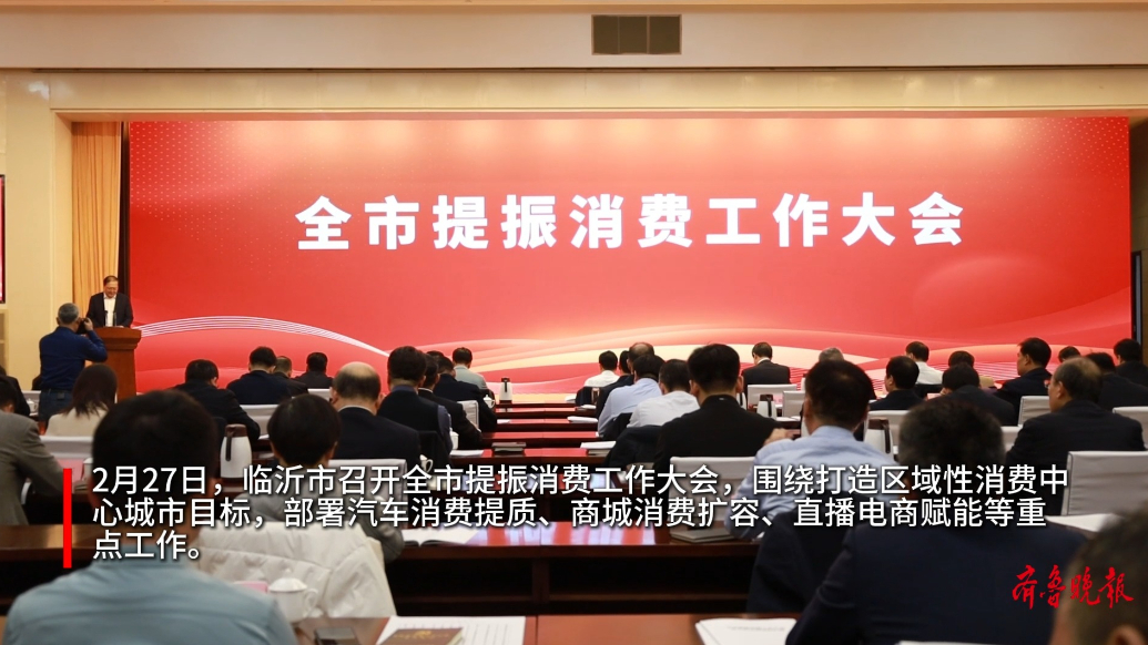 果然视频丨临沂市召开全市提振消费工作大会