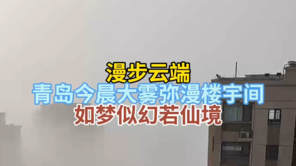 天气情报站|青岛今晨大雾弥漫楼宇间，如梦似幻仿若仙境！