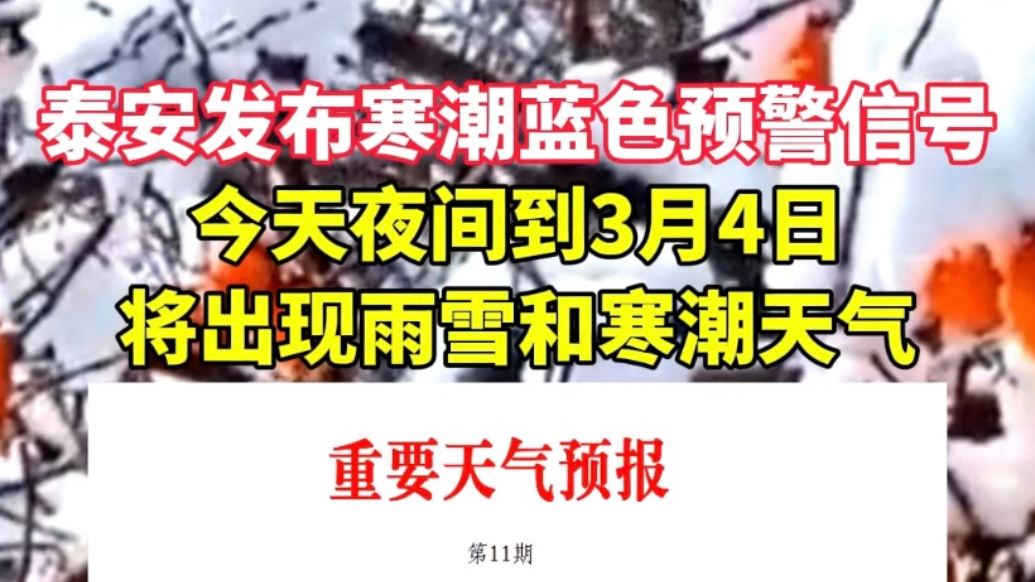 果然视频｜泰安发布寒潮蓝色预警信号,今天夜间到4日将出现雨雪和寒潮天气