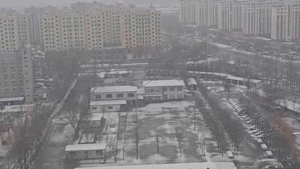 天气情报站|纷纷扬扬！山东多地春雪如约而至，雪天出行注意安全