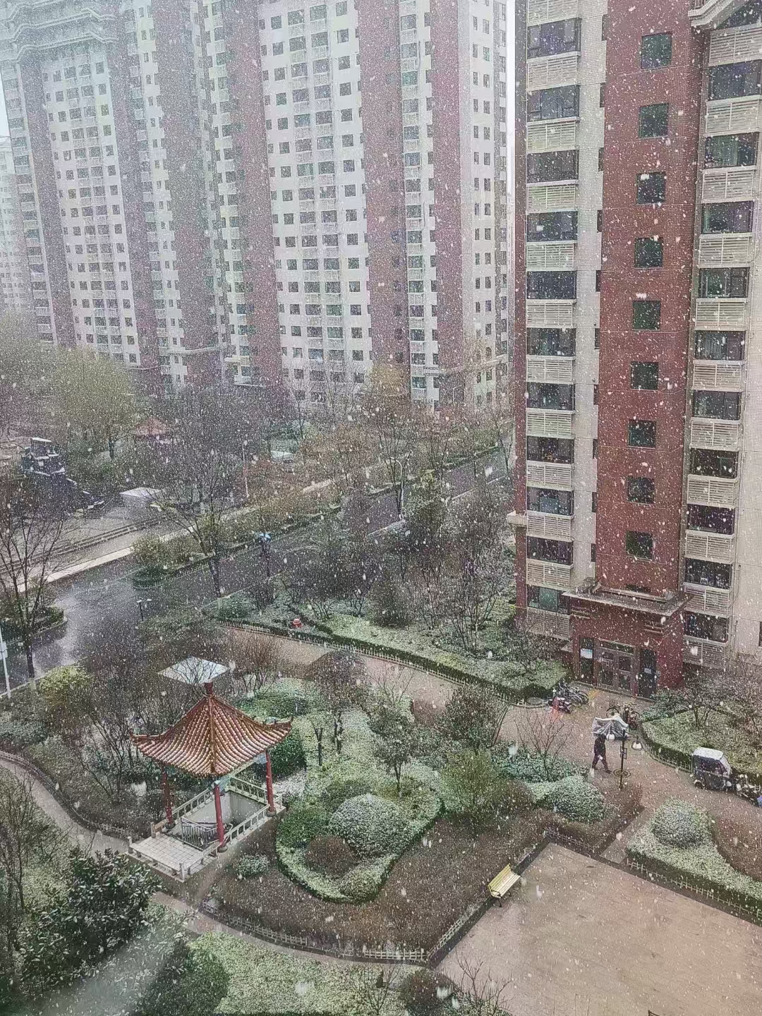 下雪了！淄博发布预警，最大积雪深度5～10厘米