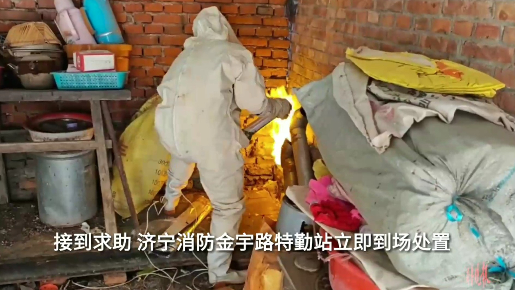果然视频|马蜂藏身居民家储藏室内，消防员到场除蜂