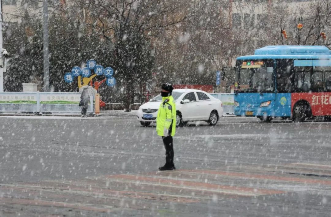 当泼天的大雪落到德州，他们接住了……