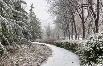 暴雪+道路结冰！淄博预警信号再升级