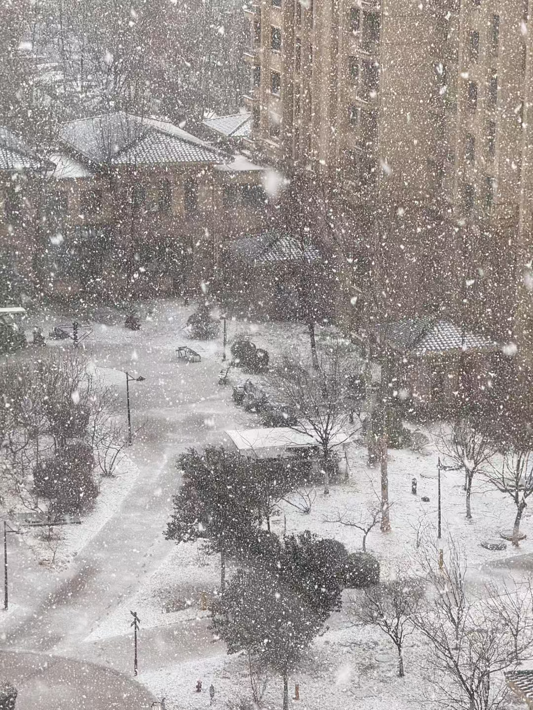 壹点图集｜淄博：三月飞雪 银装素裹