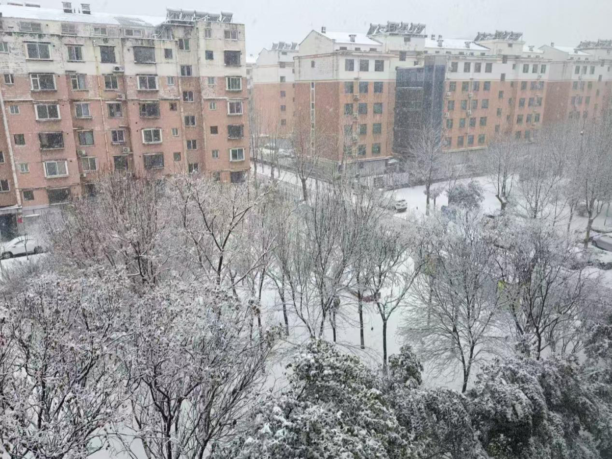 壹点图集｜淄博：三月飞雪 银装素裹