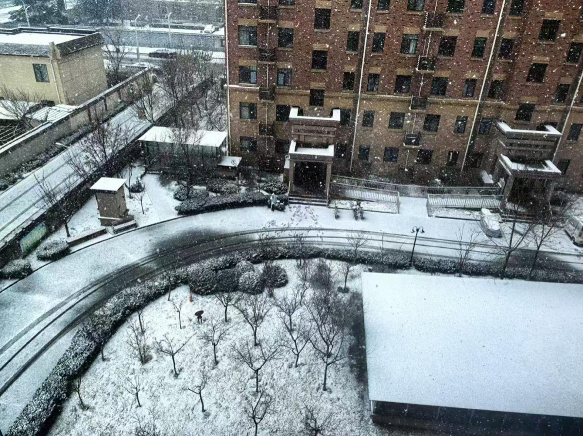 壹点图集｜淄博：三月飞雪 银装素裹