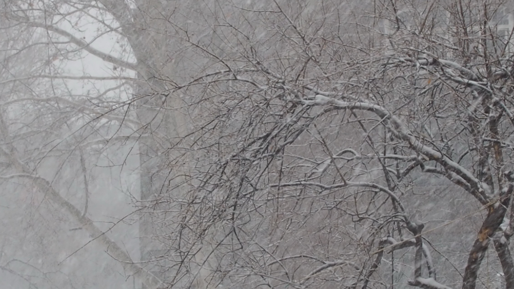 果然视频|鹅毛大雪纷纷扬扬，济南发布暴雪红色预警