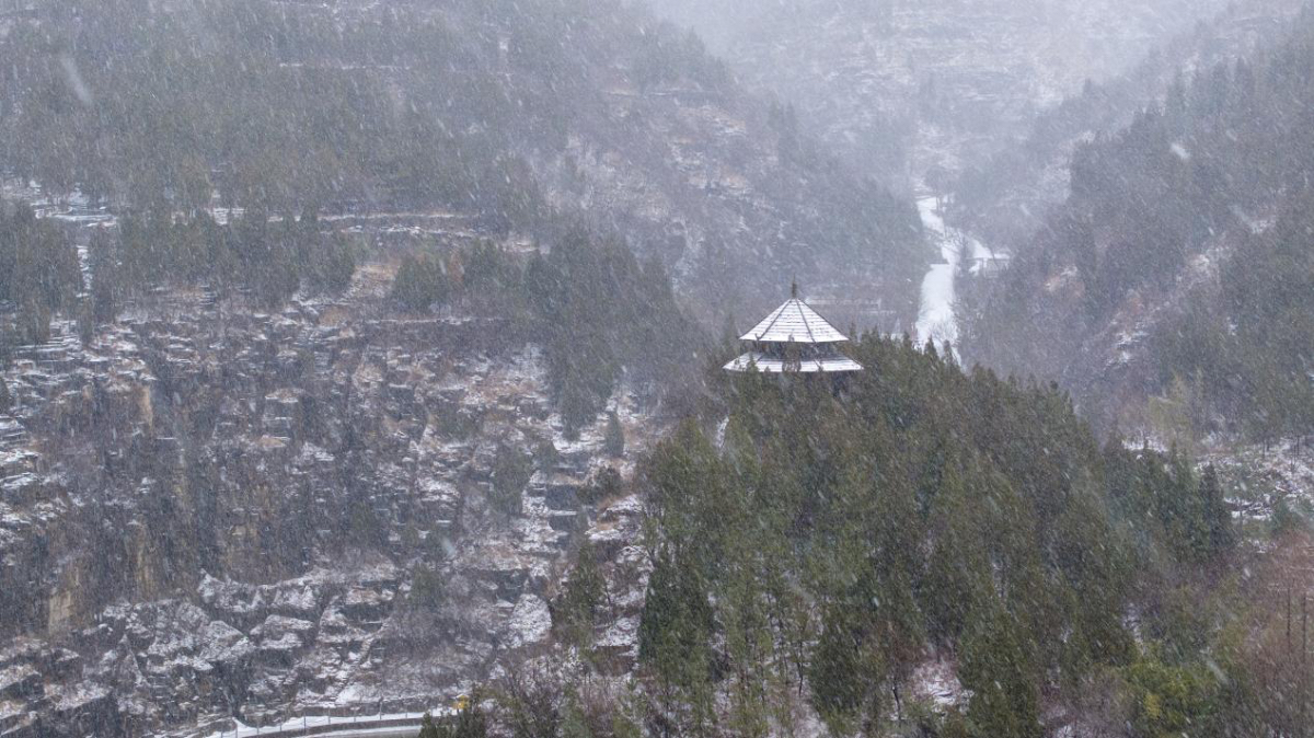 壹点图集 | 初春鹅毛大雪！在潭溪山邂逅“白色浪漫”