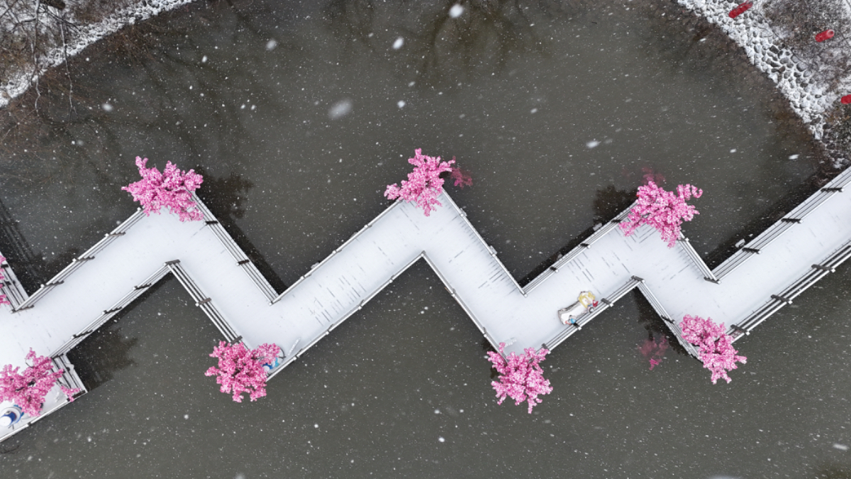 壹点图集 | 初春鹅毛大雪！在潭溪山邂逅“白色浪漫”