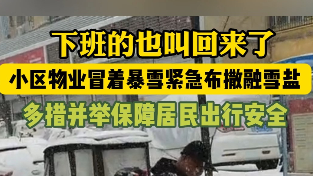 果然视频|战风雪，济南小区“十八班武艺”齐上阵