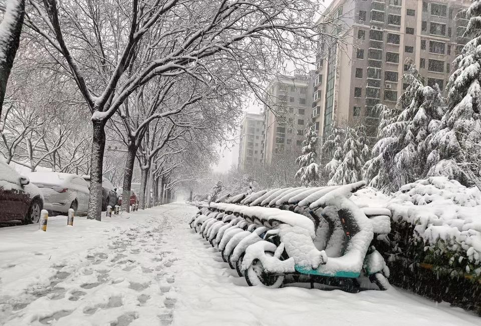 升级暴雪红色预警！淄博发布灾害风险预警提示
