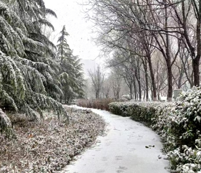 3月2日，淄博迎来暴雪，各区县各部门以雪为令，积极部署，开展除雪防滑工作。