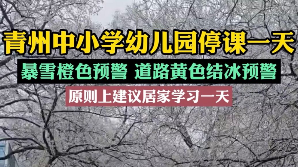 果然视频| 青州中小学幼儿园停课一天