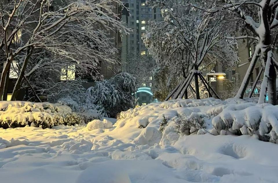 寒潮来袭，淄博出现暴雪！最大雪深11厘米，明天夜间仍有雪