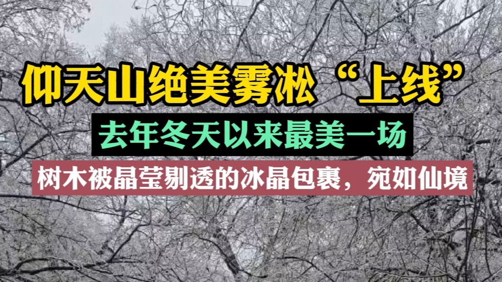 果然视频|青州仰天山上演雾凇奇观