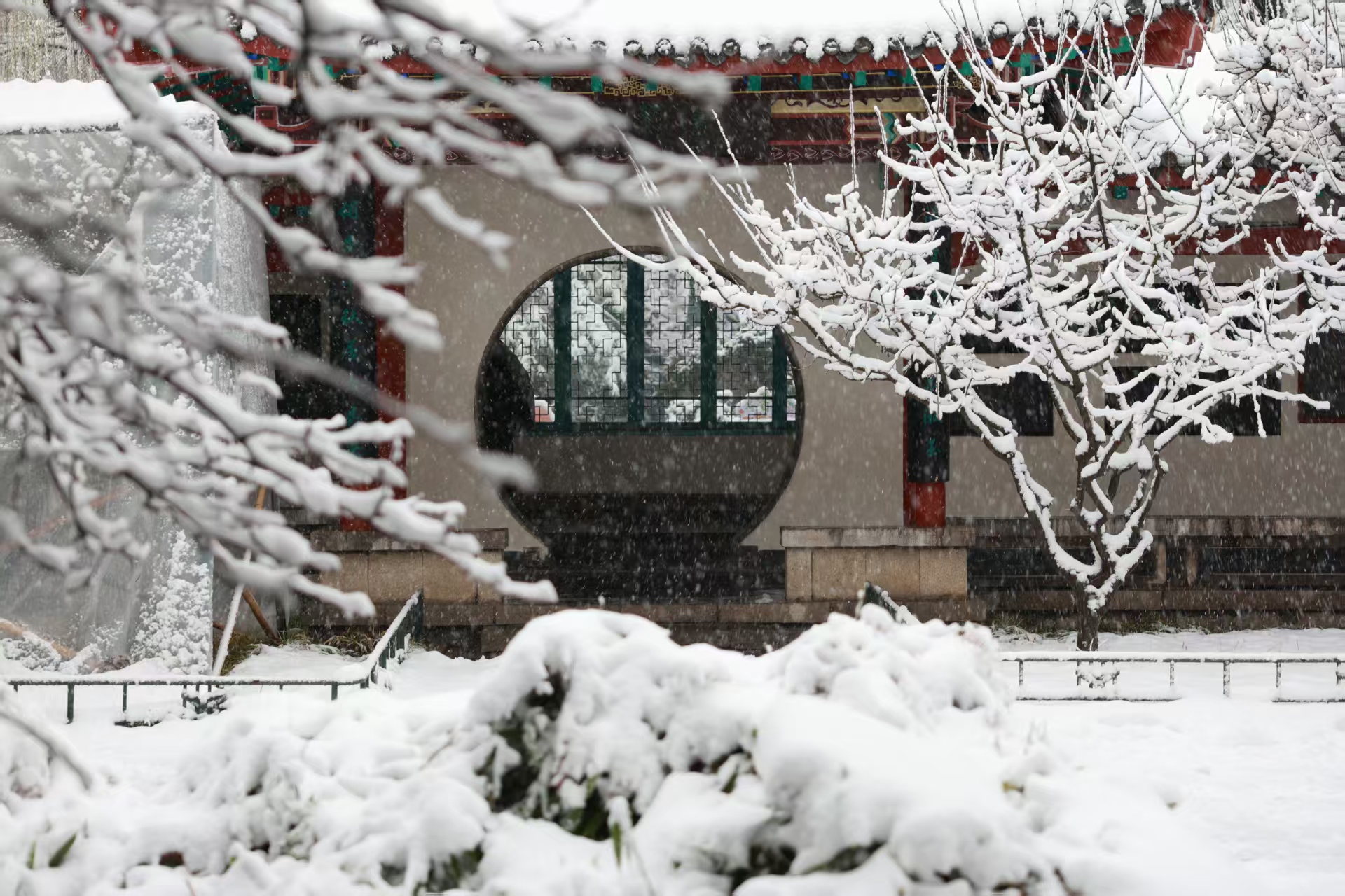 济南漫天大雪，趵突泉景区秒变琼楼玉宇 
