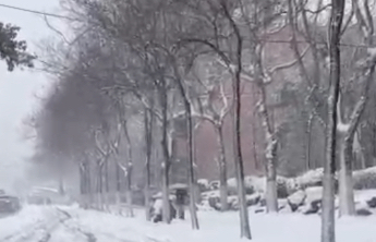 紧急应对暴雪！济南淄博等地15区县中小学明日停课