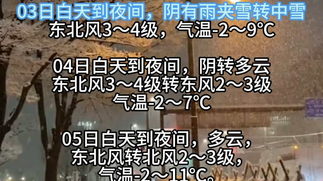 山东最大积雪深度已达8厘米  枣庄3日或有雪