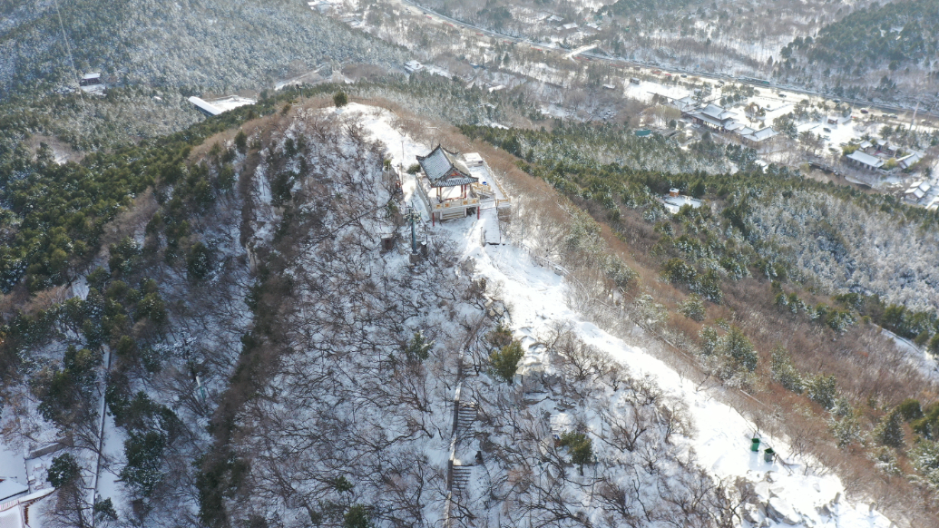 果然视频|大雪后济南千佛山美如水墨画卷