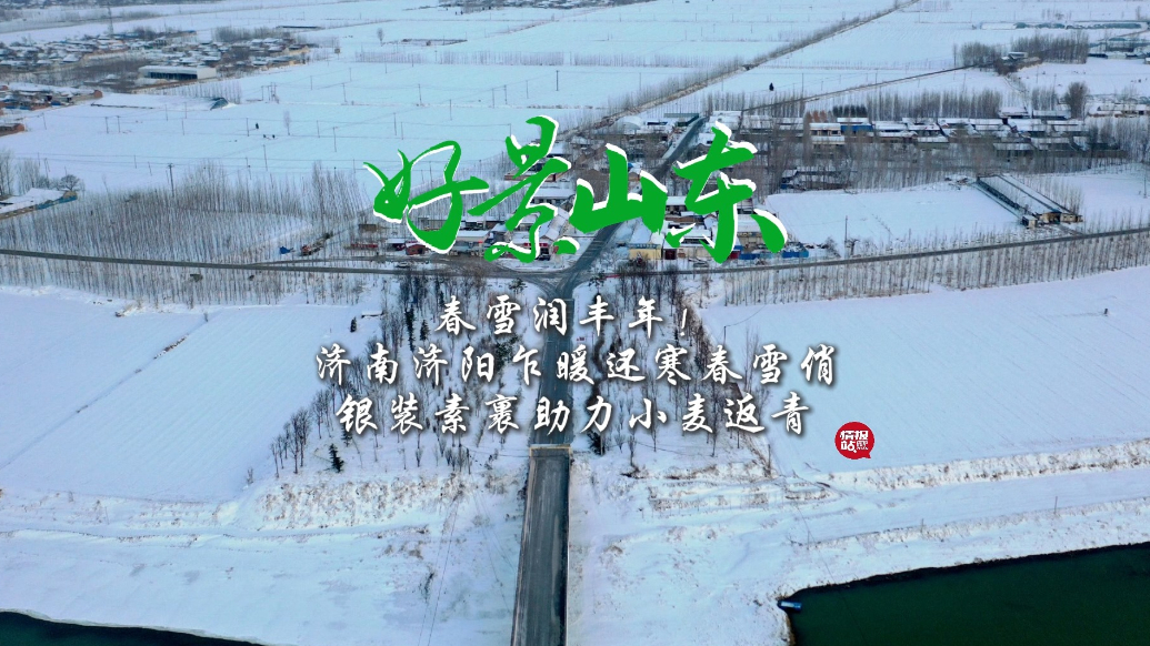 情报站|航拍黄河北雪后农田！春雪助力济阳小麦返青