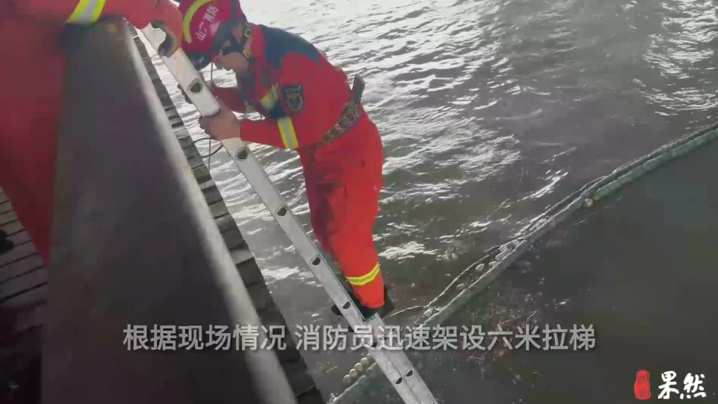 果然视频|女子不慎落水被困小清河，消防员紧急出动救援