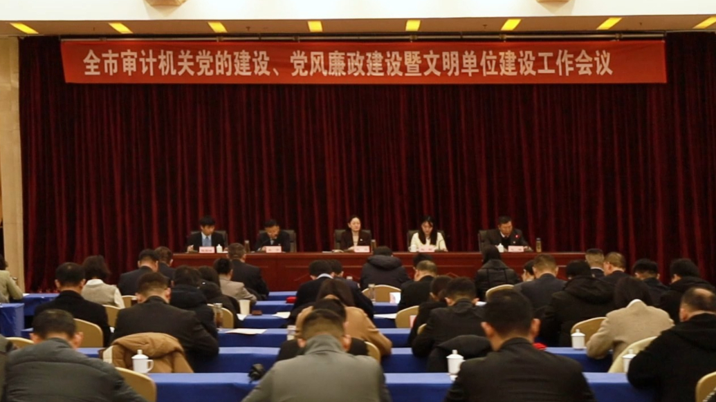 果然视频|临沂市审计局召开全市审计机关党的建设工作会议