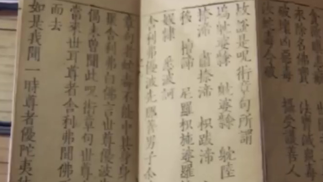 两会开放麦丨中国文化我推荐