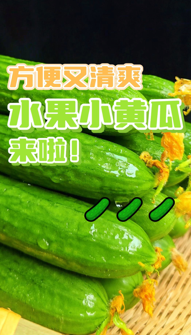 农超优选：春游必备水果小黄瓜