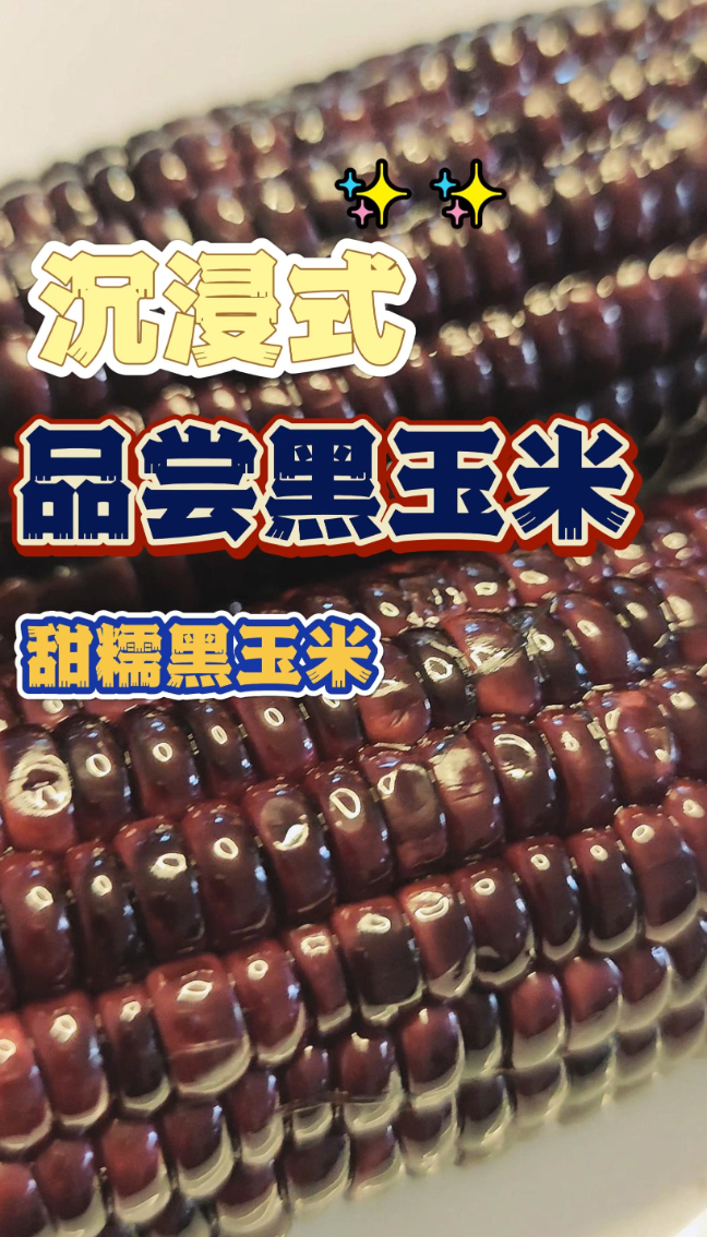 农超优选：优质慢碳，甜糯黑玉米来啦！