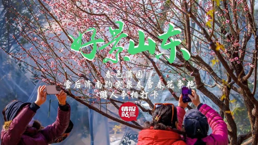 果然视频·好景山东|济南趵突泉春雪春花争艳，游人争相打卡拍照
