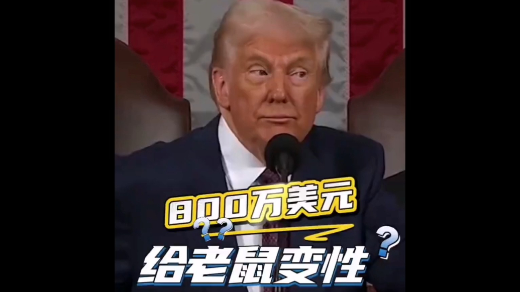 果然视频·看天下|特朗普：花800万美元给老鼠变性，真的！