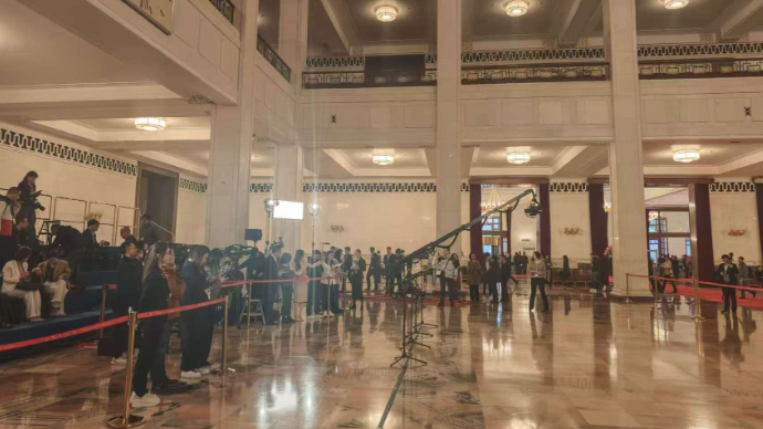 壹直播｜十四届全国人大三次会议第二场“代表通道”