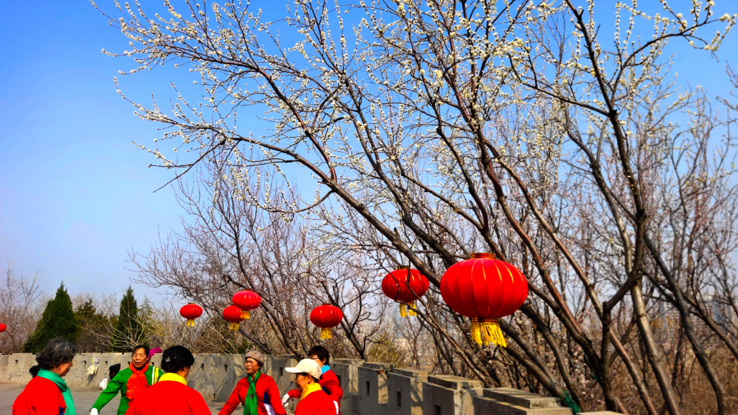 果然视频|山花烂漫，千佛山上游客如织