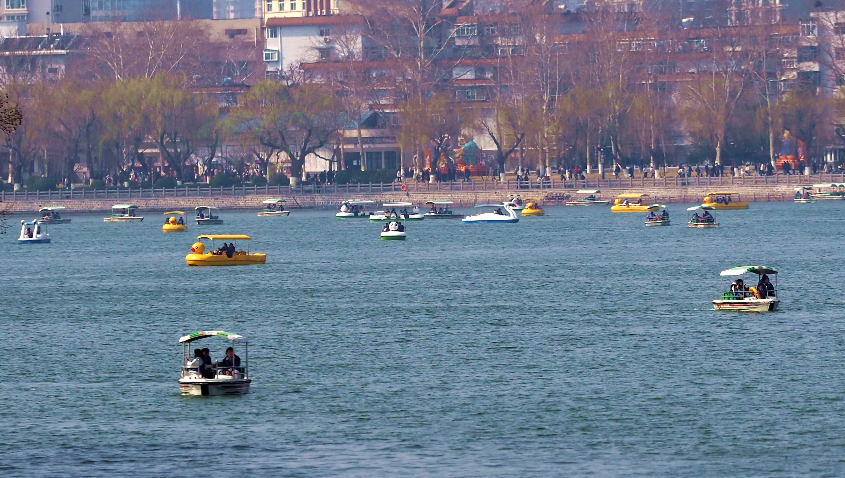 济南春光如此明媚，大批市民阖家出动欣赏湖畔春色