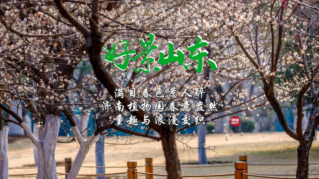果然视频·好景山东|济南植物园春意盎然，满目春色惹人醉 ！
