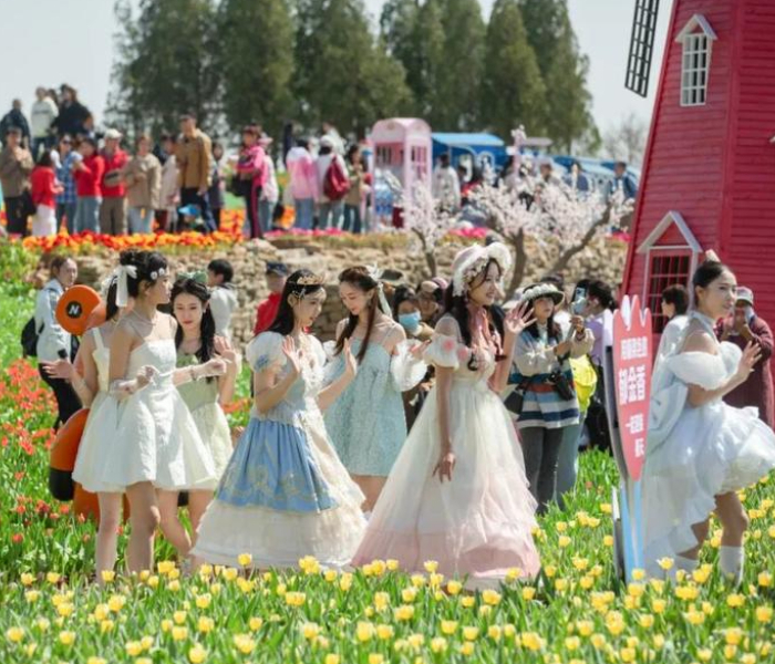 针对三八妇女节,齐鲁晚报·齐鲁壹点推出景区活动、观察等融媒报道。
