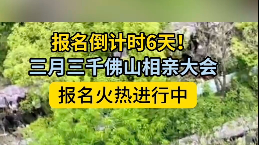 倒计时6天！千佛山相亲大会与你相约三月三，报名火热进行中