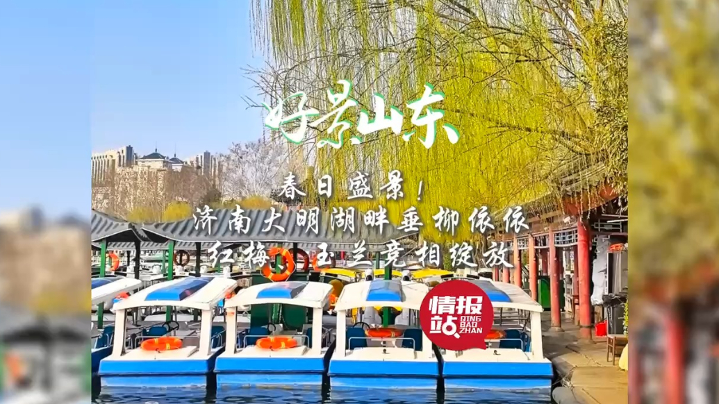 果然视频·好景山东|济南大明湖畔垂柳依依，红梅、玉兰竞相绽放