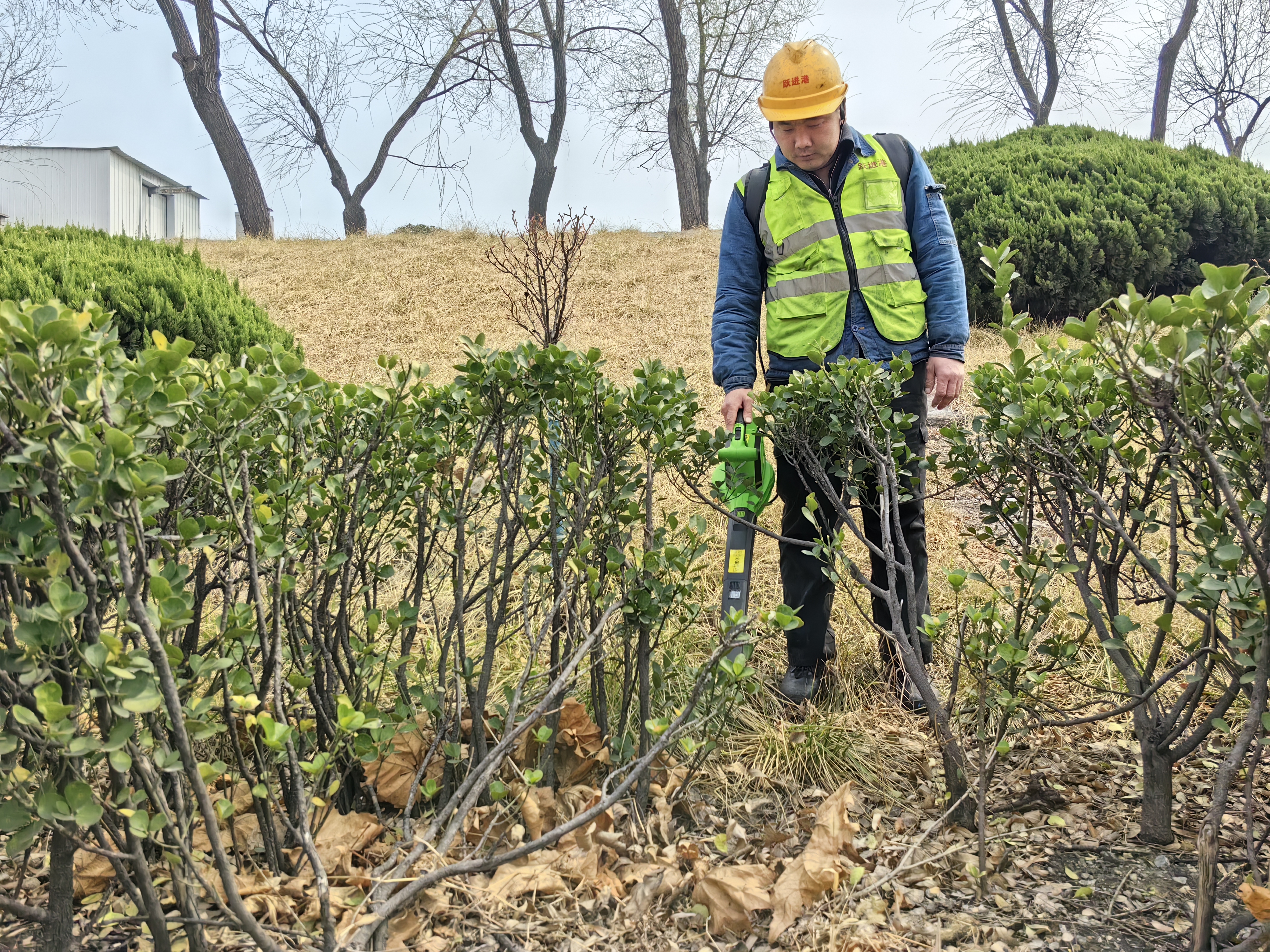 “巧思+实干”跃进港用锂电吹风机破解落叶防火难题