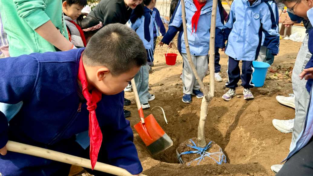 果然视频丨“我与小树同成长！”青岛启润实验学校植树活动欢乐多