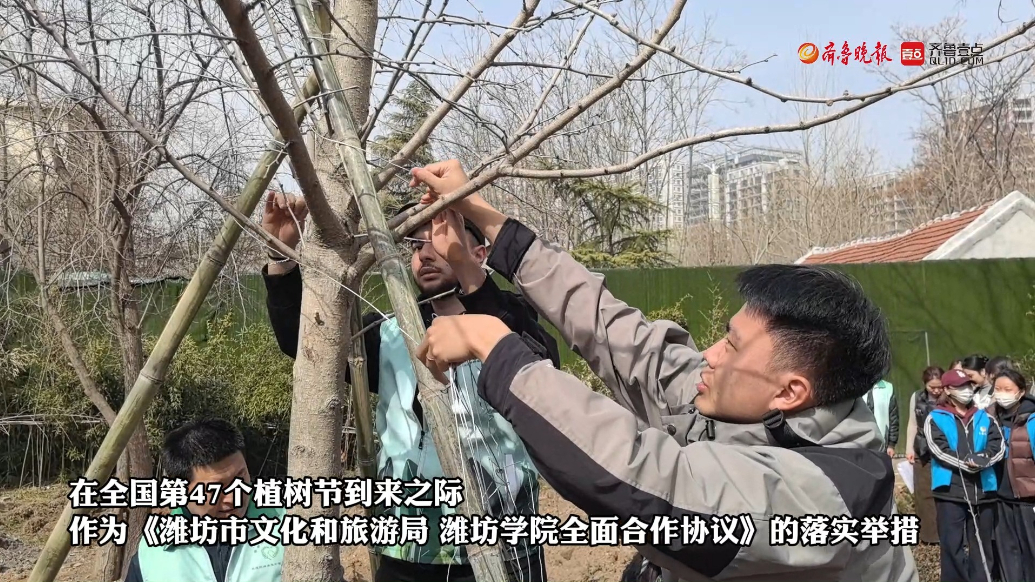 果然视频|30余名中外大学生在潍坊共植和平林