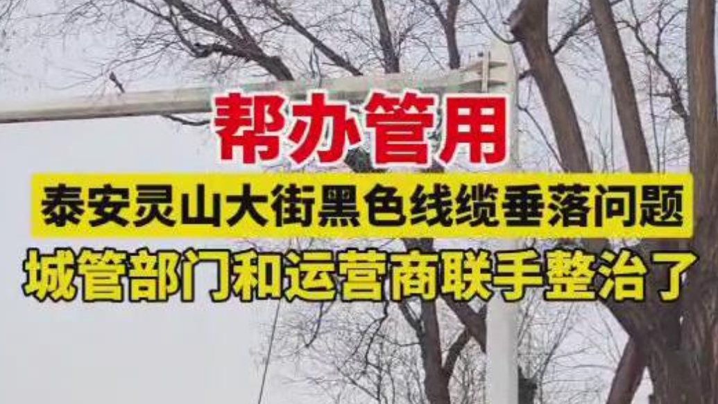 帮办·live|泰安灵山大街线缆垂落，城管和运营商联手整治了