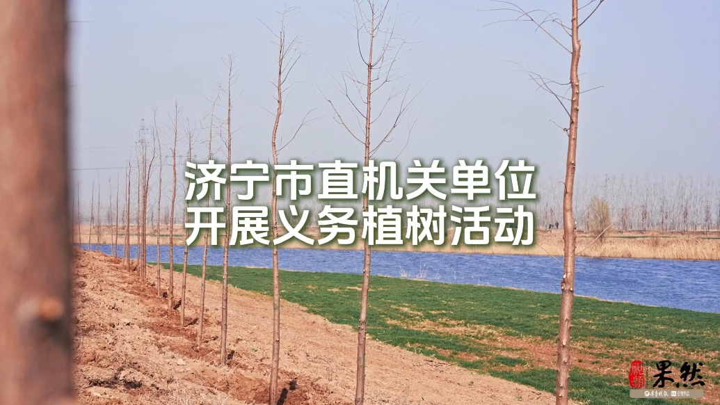 果然视频｜济宁市直机关单位义务植树活动举行