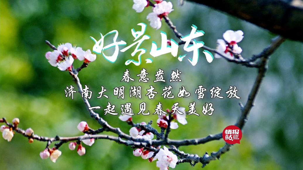 果然视频·好景山东|济南大明湖杏花如雪绽放，一起遇见春天美好
