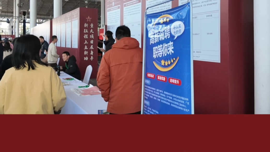 壹视频｜229家优质企业提供3000余岗位