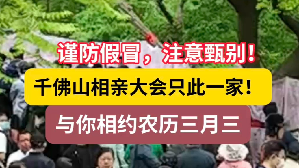 果然视频|当心冒牌活动！千佛山相亲大会报名倒计时，脱单别走错
