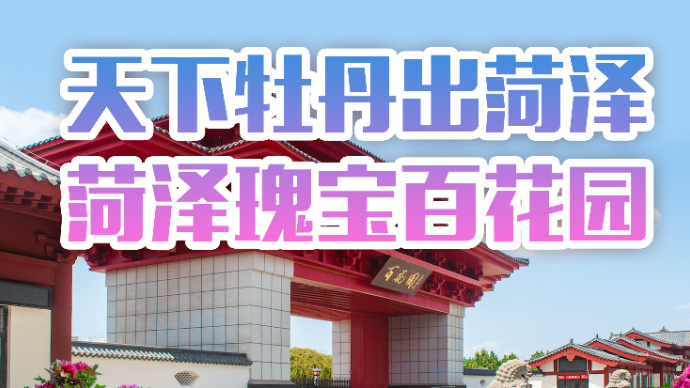 曹州百花园牡丹节会火热招商，携手顶流IP共启财富盛景