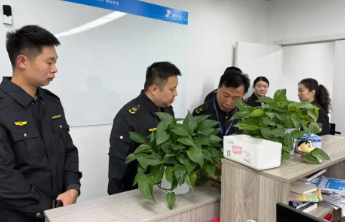 重庆市市场监管局进驻啄木鸟公司 对抽成规则等重点调查